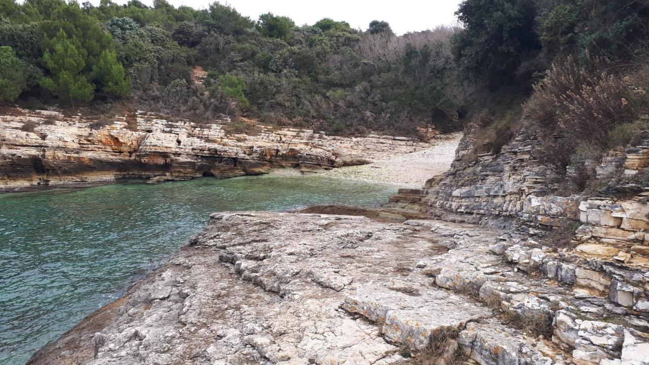 Appartements Clementina Premantura Εξωτερικό φωτογραφία